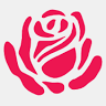Rose Cheap Hostel