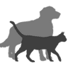 Rosedale - Moore Park Veterinary Clinic