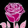 Rose d'Anjou Sarl