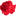 Rose Garden Aesthetic Care LLC