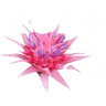 Rosemount Nursery