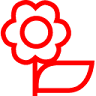 Rosenda Florist Cabang Papandayan