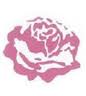 Rosenrot-Versand.de