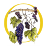 Rosnay Organic Vineyard, Olive Grove, Figs and Farmstay