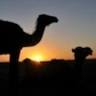 Roughtours Morocco