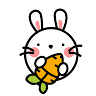 RoundRabbit IT Services