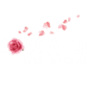 Rouwen met Bloemen