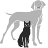 Rowan Veterinary Centre Ltd