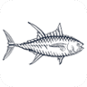 Rowayton Seafood Restaurant and Market