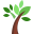 Rowdh