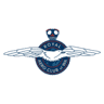 Murrayfield Aerodrome