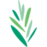 Reconstructionist Rabbinical College