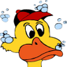 Rubber Duck Car Wash