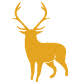 Ruidoso.net