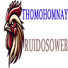 RuidosoWeb, Corp.