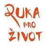 Denní stacionář Taussigova