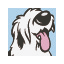 Rumford Pet Express