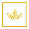 Rural Finance Ltd
