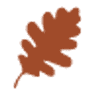 La Rectoria