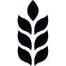 Rural Youth Organization of Tasmania