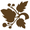 The Rustic Bunch
