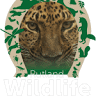 Rutland Wildlife Sanctuary