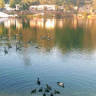 Rutledge Lake RV Park