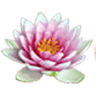 Sabai Gai Thai Massage
