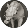 Saddlebred Suites