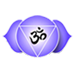 Yoga Center Sadhaka