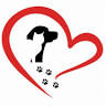 Safe Pet Rescue