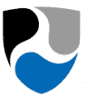 Insurance Safety System LLC
