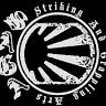 SAGA Combat Systems