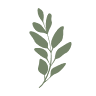 Sage Designs