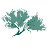 Sage Forensic Accounting Inc