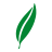 Sage Homes