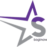 Saginaw Transit Auth Regional Services