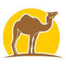 Sahara travels