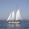 Sail Cape Cod Provincetown