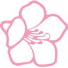 Alpenrose