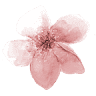 Sakura Uitvaartverzorging