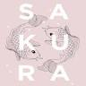 Sakura sushi bar