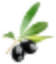 Salado Olive Oil Company