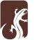 Salamander Designs Ltd