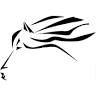 Sale horses Sabine Girke