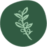 SALEMA ECO CAMP - SURF & NATURE