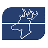 Salgomma