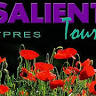 Salient Tours & The British Grenadier Bookshop