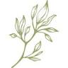 Healing Naturally - Naturopath - Nutritionist - Health Coach