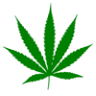 Salmo Cannabis Corporation